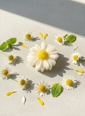 Daisy Scented Candles