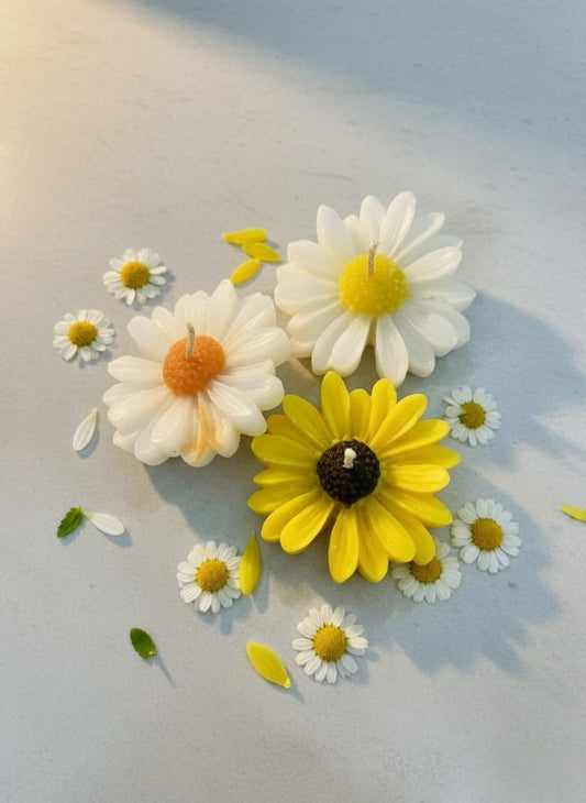 Daisy Scented Candles