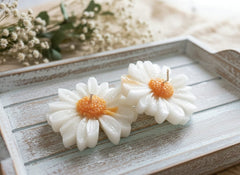 Daisy Scented Candles